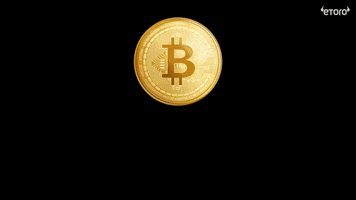 All Time High Bitcoin GIF by eToro