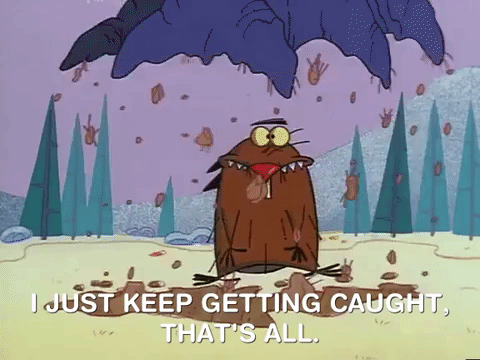 nickrewind giphydvr nicksplat angry beavers giphyab031 GIF