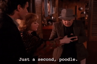 season 2 GIF by Twin Peaks on Showtime
