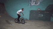 Willabo GIF by Greenplace TV