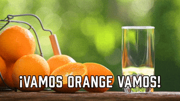 Β‘Vamos Orange Vamos!
