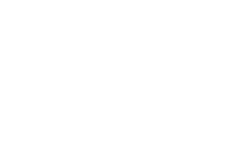 niacultural giphyupload volunteer nonprofit juneteenth Sticker