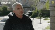 Dogwhisperer GIF by National Geographic Channel