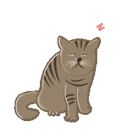 Sleepy Go To Sleep Sticker by grousseta