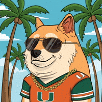 Shiba Inu Dog GIF by Doge Pound