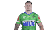 Nrl Sticker by Canberra Raiders