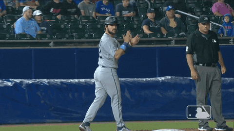 Regular Season Sport GIF by MLB