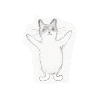 doodlepaperr cat doodle doodlepaperr Sticker