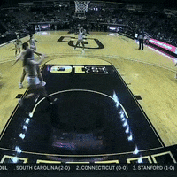GIF by Purdue Sports
