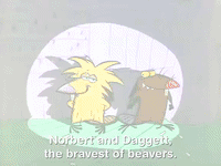 nickrewind nicksplat angry beavers GIF