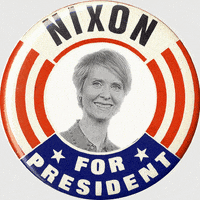cynthia nixon nyc GIF by Lauryn Siegel