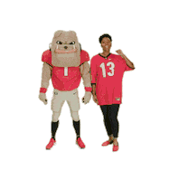 Georgia Bulldogs Cheer Sticker by University of Georgia