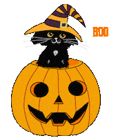 Trick Or Treat Cat Sticker