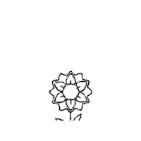 Flower Plants Sticker by InSynch