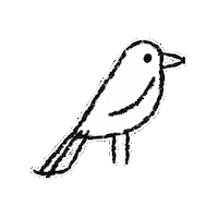 Bird Wildlife Sticker by InSynch