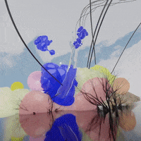 GIF by Coolhuntermx