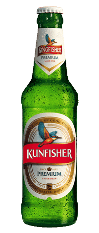 Kunfisher Sticker by KingfisherWorld