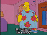 homer simpson GIF
