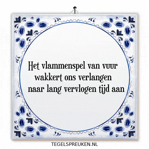 Humor Nl GIF by Tegelspreuken.nl