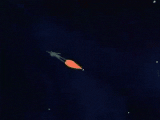 Green Onion Smile GIF