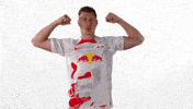 Oh Yeah Yes GIF by RB Leipzig