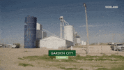 viceland GIF by WEEDIQUETTE