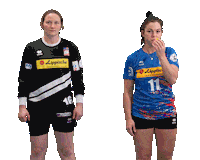 Fight Handball Sticker by HSG Blomberg-Lippe