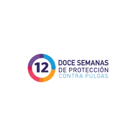 Gatos Perros Sticker by MSD Família Pet