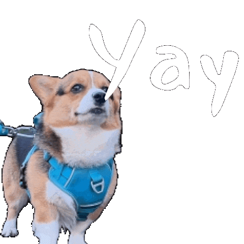 Corgi Milo Sticker