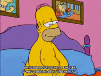 homer simpson GIF