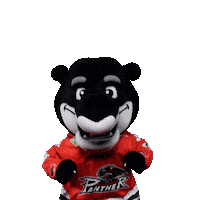 Hockey Mascot Sticker by Augsburger Panther Eishockey GmbH