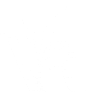 Leaf Vine Sticker by Willow & Sage : The Hair Sanctuary