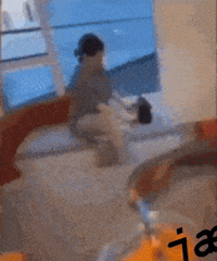 What The Hell Wtf GIF