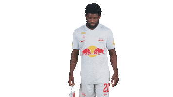 Football Sport Sticker by FC Red Bull Salzburg