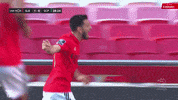 Come Sl Benfica GIF by Sport Lisboa e Benfica