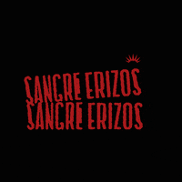 erizosstore beach surf blood waves GIF