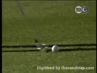 fore GIF