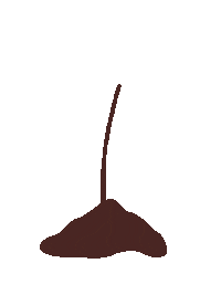 Plant Bloom Sticker