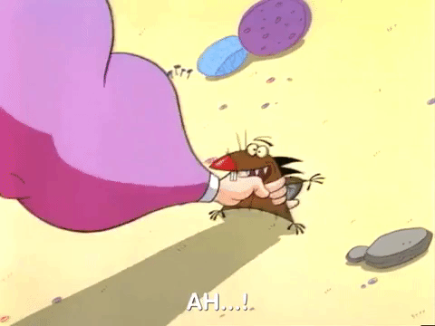 angry beavers nicksplat GIF