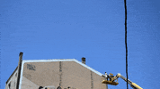 street art loop GIF by A. L. Crego