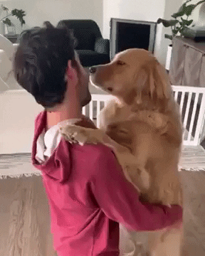 International Dog Day GIF by Storyful