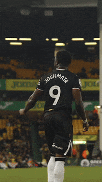 Celebrate West Brom GIF by West Bromwich Albion