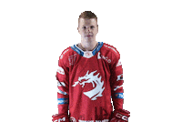 Hockey Haas Sticker by HC Oceláři Třinec