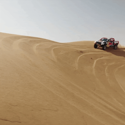 GIF by Red Bull