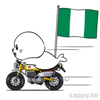 Lets Go Football GIF by Sappy Seals