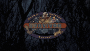 SurvivorVD survivor bali allstars survivorvd GIF