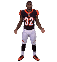 Cincinnati Bengals Stickers Sticker by NFL