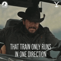 One Direction Train GIF by Yellowstone