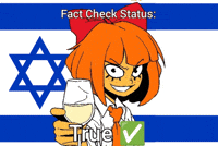 Fact Check Israel GIF
