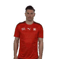 Fabian Schar Goal Sticker by Swiss Football Association